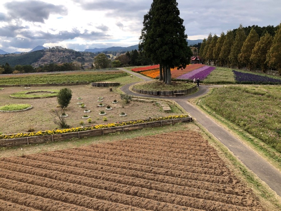 【伊賀市】メナード青山リゾート