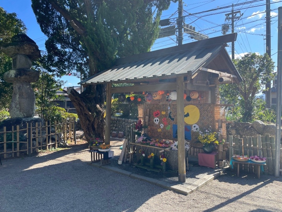 今話題の竹神社に参拝