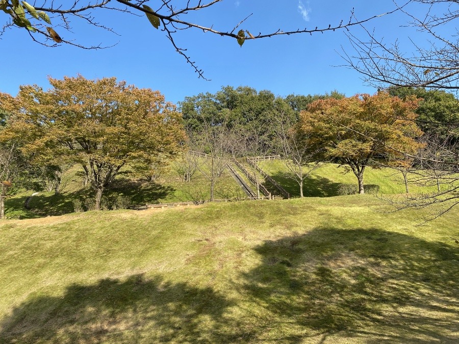 景色が綺麗✨垂坂公園